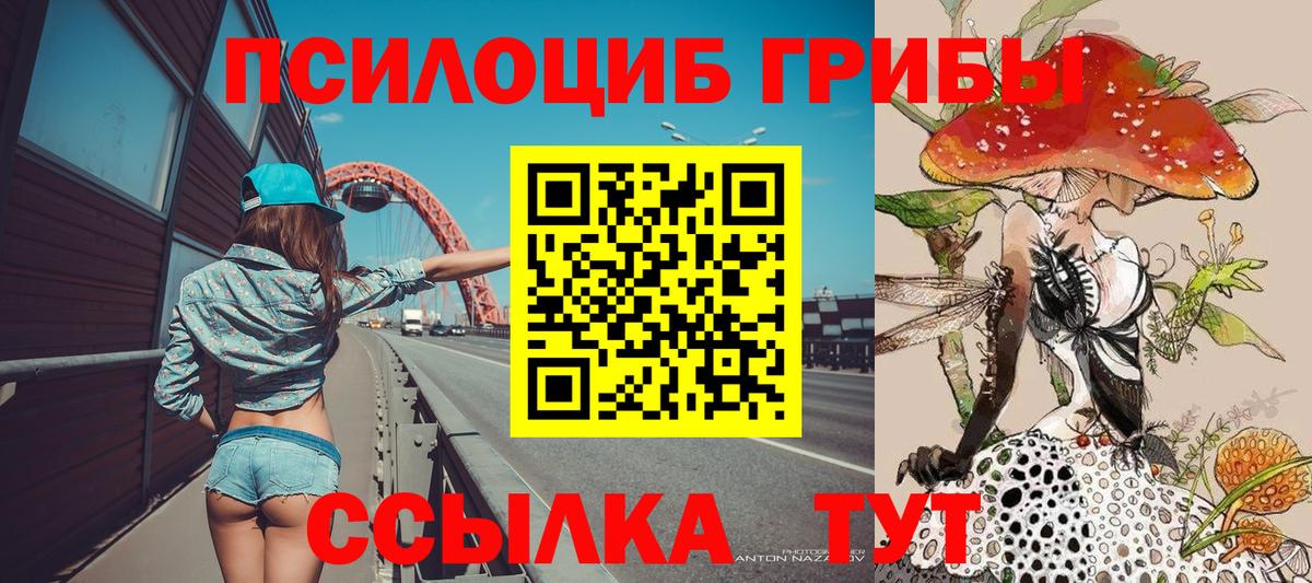 Ростов Великий  как найти закладки  Вход с VPN  Псилоцибиновые грибы MAGIC MUSHROOMS 